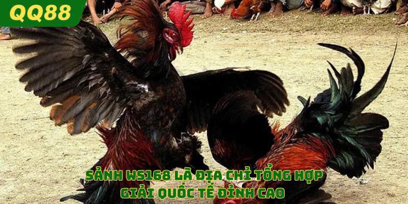 Sảnh WS168 là địa điểm có những trận đấu quốc tế